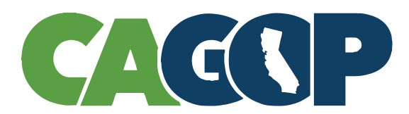 Capitol Tech Solutions